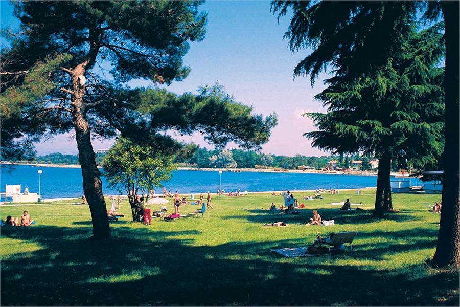Apartments Spadici Porec Exterior photo